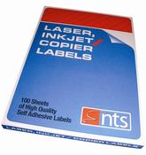 NTS HIGH QUALITY LABELS FOR LASER, COPIER &amp; INKJET 2 PER SHEET 199.6 X 143.5MM (PACK OF 100 SHEETS)