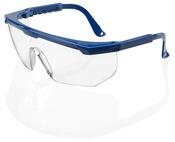 BEESWIFT PORTLAND SAFETY SPECTACLES CLEAR  (PACK OF 1) image