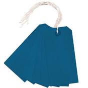 STRUNG TAG 120X60MM BLUE (PACK OF 1000) KF01625 image