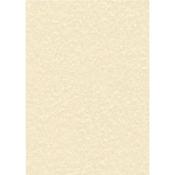 DECADRY PARCHMENT A4 LETTERHEAD PAPER 95GSM CHAMPAGNE (PACK OF 100 SHEETS) PCL1601 image