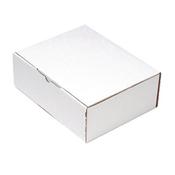 MAILING BOX 220X110 WHITE (PACK OF 25) PPAK-KING069-C