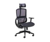 ARISTA LENA HIGH BACK EXECUTIVE CHAIR 700X700X1120-1250MM MESH BACK BLACK KF90764 image