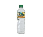 BALLYGOWAN HINT OF FRUIT SPARKLING ORANGE 500ML PACK 24