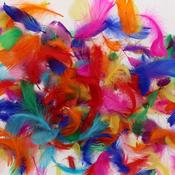 CRAFT EXOTIC FEATHERS ASSORTED