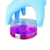 SHIELD POWDER-FREE BLUE NITRILE SMALL GLOVES (PACK OF 100) GD19 image