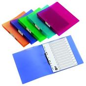 Q-CONNECT 2 RING BINDER FROSTED A4 CLEAR (25MM CAPACITY AND HAS A SPINE LABEL)KF02487 image