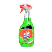 MR MUSCLE WINDOW AND GLASS CLEANER 750ML 308957 (PACK OF 1) image