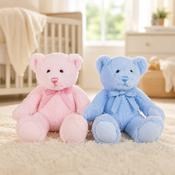 Blue/Pink Teddy Bear image