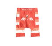Flamingo Shorts image