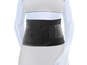 Kedley Waist Trimmer