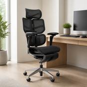 Hinomi X2 Pro Ergonomic Office Chair image