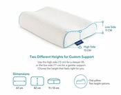 The Back Shop Pillow image
