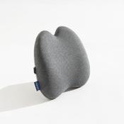 SpineRite image
