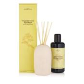 Dublin Herbalist Frankincense and Juniper Natural Reed Diffuser Gift Set image