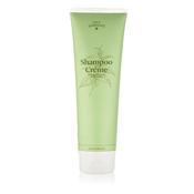DUBLIN HERBALISTS  SHAMPOO CREME WITH ROSEMARY &amp; EUCALYPTUS 300ML image