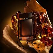 DOLCE &amp; GABBANA The One For Men Parfum image