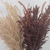 Delicate floral display of leaves and grasses image