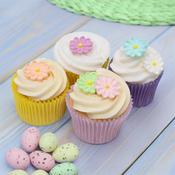 Edible Pastel Daisies Sugar Pipings 24pk