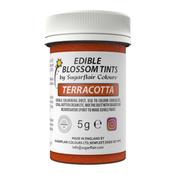 Sugarflair Blossom Tint Terracotta 5g