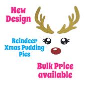 Reindeer Pudding Pics