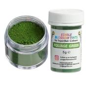 Sugarflair Blossom Tint Foilage Green 5g