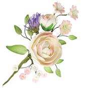 Ranunculus Flower With Purple Spray Mixed 145mm