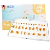 PME : Fun Fonts Numeral &amp; Special Embossing Set - Collection 2