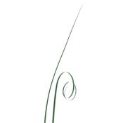 Green Bear Grass 50pk 425mm