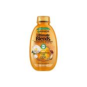 Garnier Ultimate Blends Argan Oil &amp; Camellia Oil Shampoo image