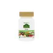 NaturesPlus Source of Life Garden Iron 30 Capsules image