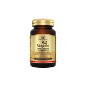 Solgar Magstein Magnesium L-Threonate 60 Capsules image