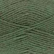 King Cole Fashion Aran 30% Wool 800m 400gm - Forest