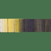 Schoppel Wolle Reggae Ombre 100% Wool 100m 50gm - Vitamin C 2403
