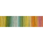 Schoppel Wolle Reggae Ombre 100% Wool 100m 50gm - Fools Gold 2594
