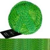 Schoppel Wolle Brüder 6ply 133m 50gm - Frank Walter 2707
