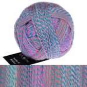 Schoppel Wolle Brüder 6ply 133m 50gm - Christian 2709