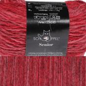Schoppel Wolle Seniorita and Senior 100% Patagonian Wool 143m 25gm - Senior Summer's Gone 2600