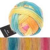 Schoppel Wolle Wool Sisters DK 50gm - Annegret 2641 image