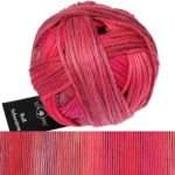 Schoppel Wolle Wool Sisters DK 50gm - Berta 2646 image