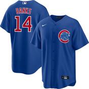 Youth Chicago Cubs Ernie Banks Replica Alternate Jersey - Royal image