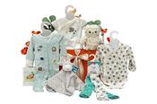 Organic Unisex Baby Gift Hamper image