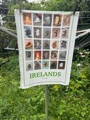 Irelands by Mark Duffy , Art  T Towel