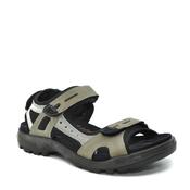 ECCO 069564