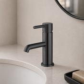 Pisa Round Basin Tap &amp; Waste - Gunmetal image
