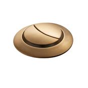 Toilet Push Button &amp; Valve - Brushed Brass