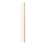 Brushed Brass Hinged Wet Room Screen Panel 300mm