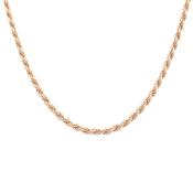Amèlie 18ct Gold-Plated 45cm Rope Chain 16213545 image