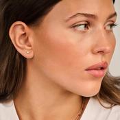 Blush Earrings 7351YGO - 14k Yellow Gold Disc Studs image