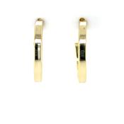 Sterling Silver Gold-plated 20mm Hoop Earrings CSE447 image