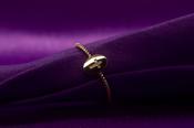 9ct Yellow Gold Oval Cross Roped Ring GR311 image